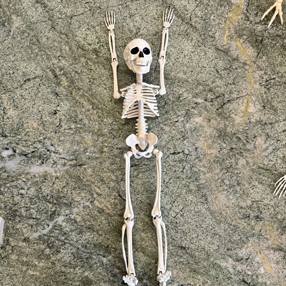 Skeleton Halloween Decorations. Hang or Sit Moveable Parts. 18” - Picture 3 of 4